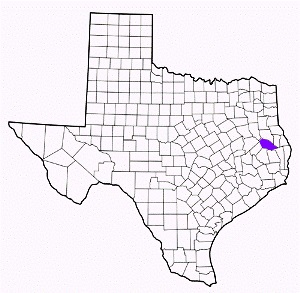 angelina county texas fire, fire departments in angelina county, angelina county tx fire stations, volunteer fire department, angelina county texas, angelina county fire station numbers, angelina county fire jobs, angelina county live dispatch, angelina county fire departments, angelina county ems, angelina county ambulance, angelina county texas firefighters
