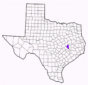 brazos county texas fire, fire departments in brazos county, brazos county tx fire stations, volunteer fire department, brazos county texas, brazos county fire station numbers, brazos county fire jobs, brazos county live dispatch, brazos county fire departments, brazos county ems, brazos county ambulance, brazos county texas firefighters