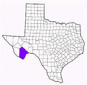 brewster county texas fire, fire departments in brewster county, brewster county tx fire stations, volunteer fire department, brewster county texas, brewster county fire station numbers, brewster county fire jobs, brewster county live dispatch, brewster county fire departments, brewster county ems, brewster county ambulance, brewster county texas firefighters