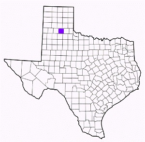 briscoe county texas fire, fire departments in briscoe county, briscoe county tx fire stations, volunteer fire department, briscoe county texas, briscoe county fire station numbers, briscoe county fire jobs, briscoe county live dispatch, briscoe county fire departments, briscoe county ems, briscoe county ambulance, briscoe county texas firefighters