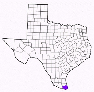 cameron county texas fire, fire departments in cameron county, cameron county tx fire stations, volunteer fire department, cameron county texas, cameron county fire station numbers, cameron county fire jobs, cameron county live dispatch, cameron county fire departments, cameron county ems, cameron county ambulance, cameron county texas firefighters