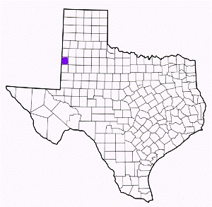 cochran county texas fire, fire departments in cochran county, cochran county tx fire stations, volunteer fire department, cochran county texas, cochran county fire station numbers, cochran county fire jobs, cochran county live dispatch, cochran county fire departments, cochran county ems, cochran county ambulance, cochran county texas firefighters