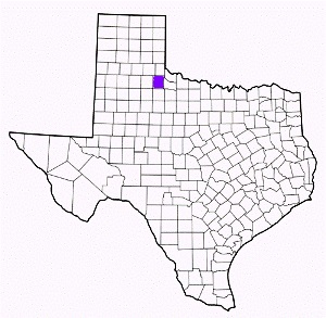 cottle county texas fire, fire departments in cottle county, cottle county tx fire stations, volunteer fire department, cottle county texas, cottle county fire station numbers, cottle county fire jobs, cottle county live dispatch, cottle county fire departments, cottle county ems, cottle county ambulance, cottle county texas firefighters
