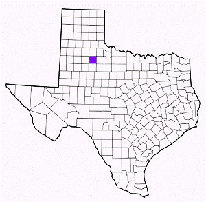 dickens county texas fire, fire departments in dickens county, dickens county tx fire stations, volunteer fire department, dickens county texas, dickens county fire station numbers, dickens county fire jobs, dickens county live dispatch, dickens county fire departments, dickens county ems, dickens county ambulance, dickens county texas firefighters
