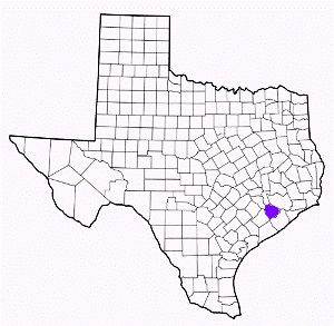 fort bend county texas fire, fire departments in fort bend county, fort bend county tx fire stations, volunteer fire department, fort bend county texas, fort bend county fire station numbers, fort bend county fire jobs, fort bend county live dispatch, fort bend county fire departments, fort bend county ems, fort bend county ambulance, fort bend county texas firefighters