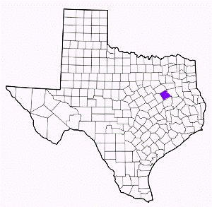 freestone county texas fire, fire departments in freestone county, freestone county tx fire stations, volunteer fire department, freestone county texas, freestone county fire station numbers, freestone county fire jobs, freestone county live dispatch, freestone county fire departments, freestone county ems, freestone county ambulance, freestone county texas firefighters