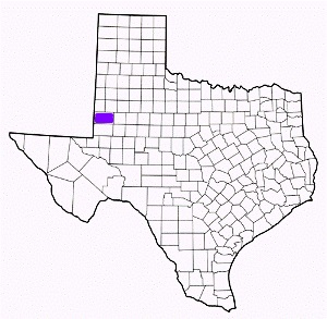 gaines county texas fire, fire departments in gaines county, gaines county tx fire stations, volunteer fire department, gaines county texas, gaines county fire station numbers, gaines county fire jobs, gaines county live dispatch, gaines county fire departments, gaines county ems, gaines county ambulance, gaines county texas firefighters