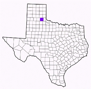 hall county texas fire, fire departments in hall county, hall county tx fire stations, volunteer fire department, hall county texas, hall county fire station numbers, hall county fire jobs, hall county live dispatch, hall county fire departments, hall county ems, hall county ambulance, hall county texas firefighters
