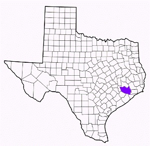 harris county texas fire, fire departments in harris county, harris county tx fire stations, volunteer fire department, harris county texas, harris county fire station numbers, harris county fire jobs, harris county live dispatch, harris county fire departments, harris county ems, harris county ambulance, harris county texas firefighters