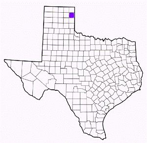 hemphill county texas fire, fire departments in hemphill county, hemphill county tx fire stations, volunteer fire department, hemphill county texas, hemphill county fire station numbers, hemphill county fire jobs, hemphill county live dispatch, hemphill county fire departments, hemphill county ems, hemphill county ambulance, hemphill county texas firefighters