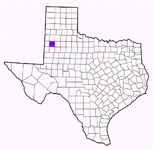 hockley county texas fire, fire departments in hockley county, hockley county tx fire stations, volunteer fire department, hockley county texas, hockley county fire station numbers, hockley county fire jobs, hockley county live dispatch, hockley county fire departments, hockley county ems, hockley county ambulance, hockley county texas firefighters