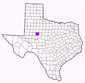mitchell county texas fire, fire departments in mitchell county, mitchell county tx fire stations, volunteer fire department, mitchell county texas, mitchell county fire station numbers, mitchell county fire jobs, mitchell county live dispatch, mitchell county fire departments, mitchell county ems, mitchell county ambulance, mitchell county texas firefighters