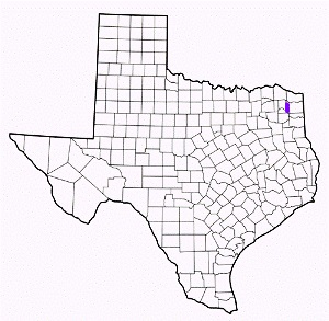 morris county texas fire, fire departments in morris county, morris county tx fire stations, volunteer fire department, morris county texas, morris county fire station numbers, morris county fire jobs, morris county live dispatch, morris county fire departments, morris county ems, morris county ambulance, morris county texas firefighters