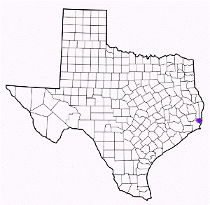 orange county texas fire, fire departments in orange county, orange county tx fire stations, volunteer fire department, orange county texas, orange county fire station numbers, orange county fire jobs, orange county live dispatch, orange county fire departments, orange county ems, orange county ambulance, orange county texas firefighters