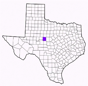 runnels county texas fire, fire departments in runnels county, runnels county tx fire stations, volunteer fire department, runnels county texas, runnels county fire station numbers, runnels county fire jobs, runnels county live dispatch, runnels county fire departments, runnels county ems, runnels county ambulance, runnels county texas firefighters