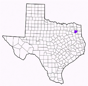 upshur county texas fire, fire departments in upshur county, upshur county tx fire stations, volunteer fire department, upshur county texas, upshur county fire station numbers, upshur county fire jobs, upshur county live dispatch, upshur county fire departments, upshur county ems, upshur county ambulance, upshur county texas firefighters