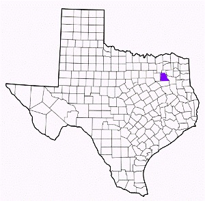 van zandt county texas fire, fire departments in van zandt county, van zandt county tx fire stations, volunteer fire department, van zandt county texas, van zandt county fire station numbers, van zandt county fire jobs, van zandt county live dispatch, van zandt county fire departments, van zandt county ems, van zandt county ambulance, van zandt county texas firefighters