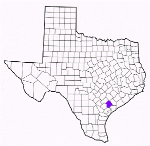 victoria county texas fire, fire departments in victoria county, victoria county tx fire stations, volunteer fire department, victoria county texas, victoria county fire station numbers, victoria county fire jobs, victoria county live dispatch, victoria county fire departments, victoria county ems, victoria county ambulance, victoria county texas firefighters