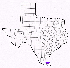 willacy county texas fire, fire departments in willacy county, willacy county tx fire stations, volunteer fire department, willacy county texas, willacy county fire station numbers, willacy county fire jobs, willacy county live dispatch, willacy county fire departments, willacy county ems, willacy county ambulance, willacy county texas firefighters