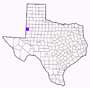 yoakum county texas fire, fire departments in yoakum county, yoakum county tx fire stations, volunteer fire department, yoakum county texas, yoakum county fire station numbers, yoakum county fire jobs, yoakum county live dispatch, yoakum county fire departments, yoakum county ems, yoakum county ambulance, yoakum county texas firefighters
